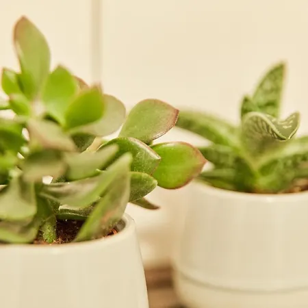 Bella Vista Premium Appartamento