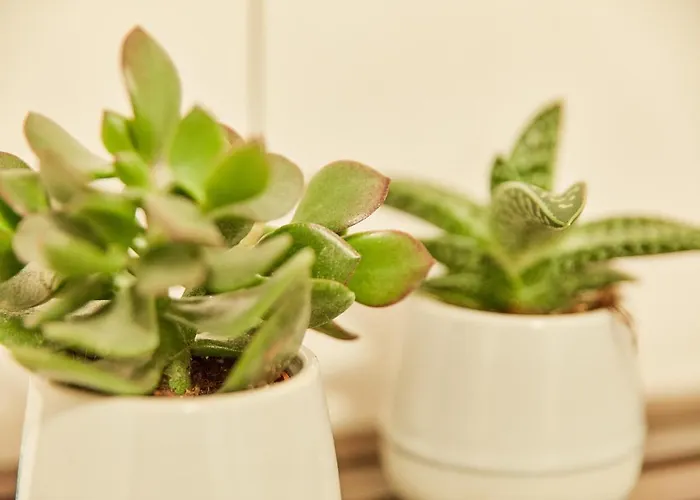 Bella Vista Premium Appartamento